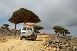 IMG_5070 Dixsam, Socotra